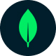mongodb